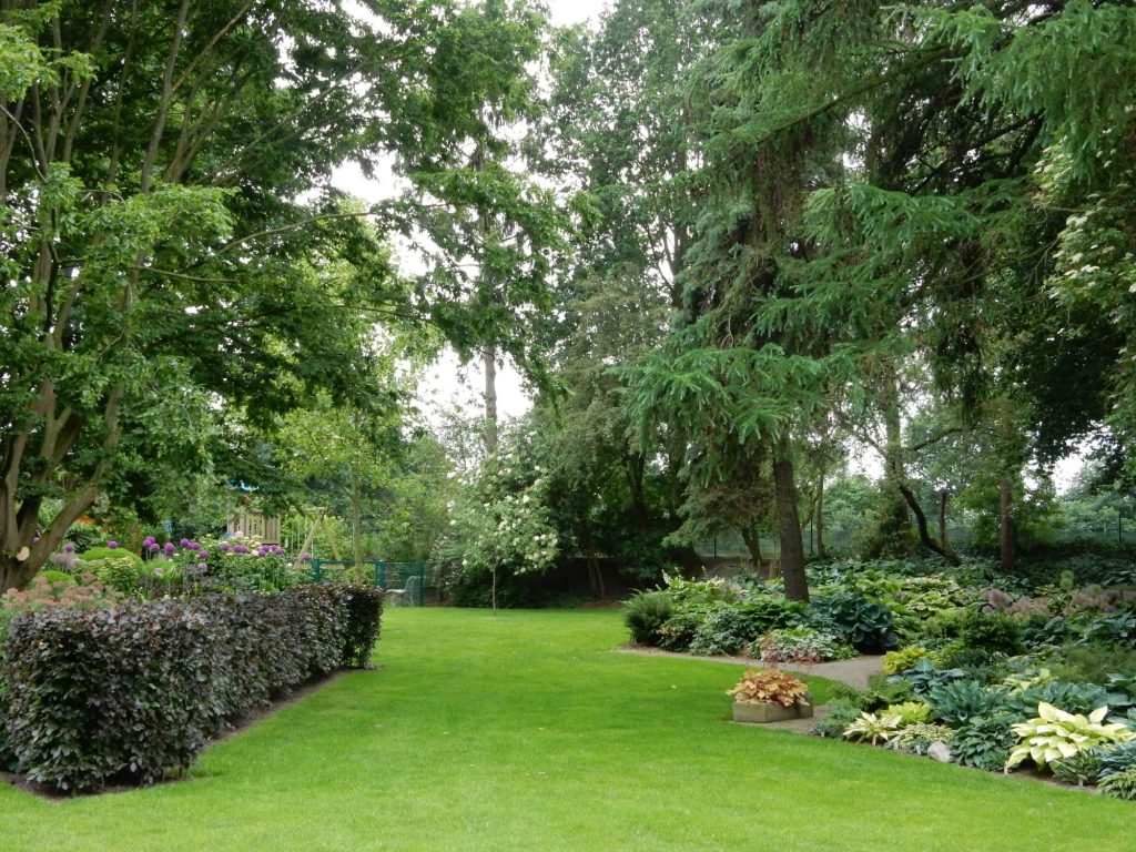 2017-kruit-dscn0487web