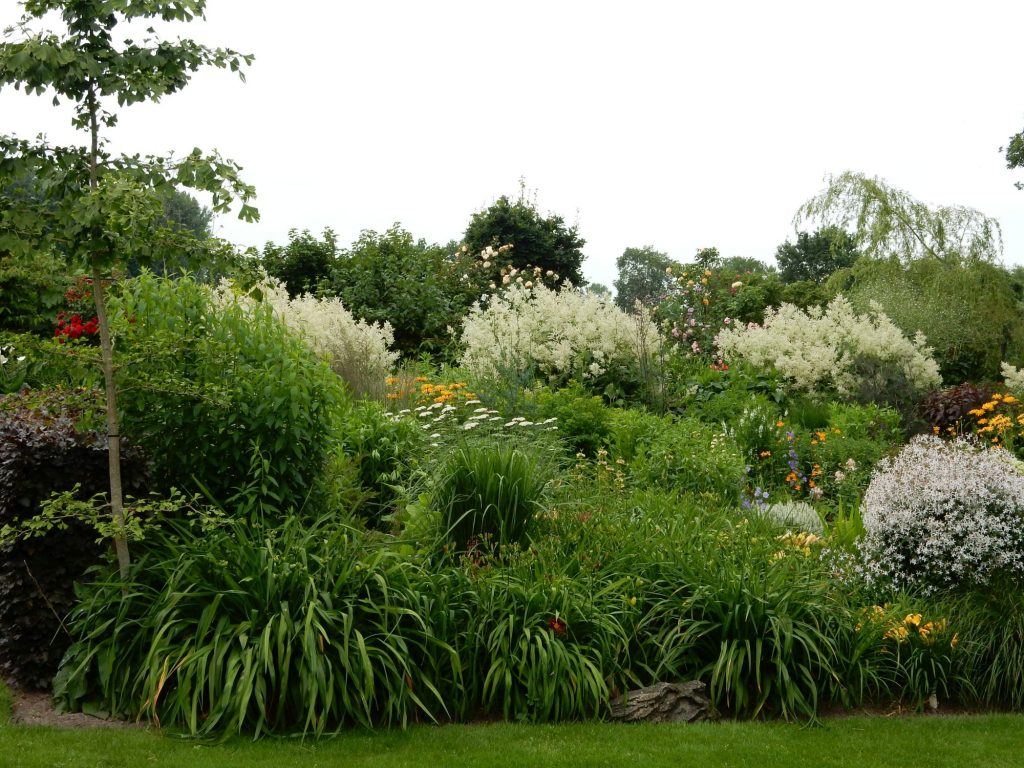 2017-kruit-dscn0488web