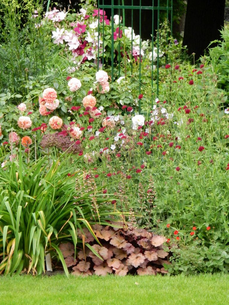 2017-kruit-dscn0489web