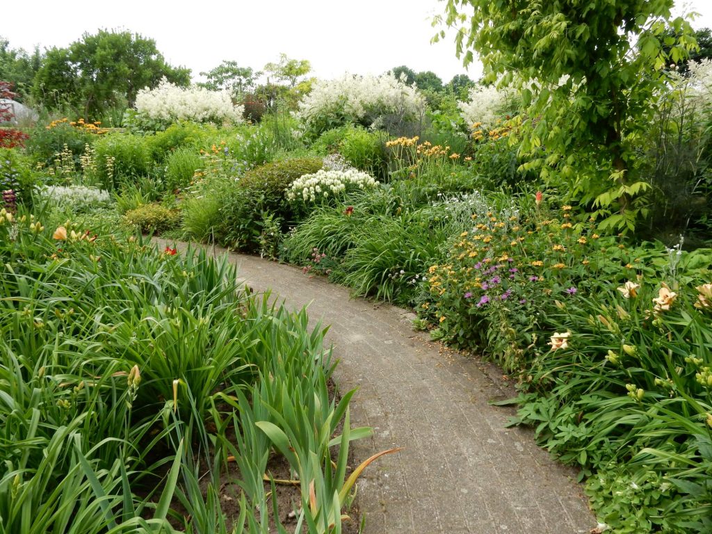 2017-kruit-dscn0508web