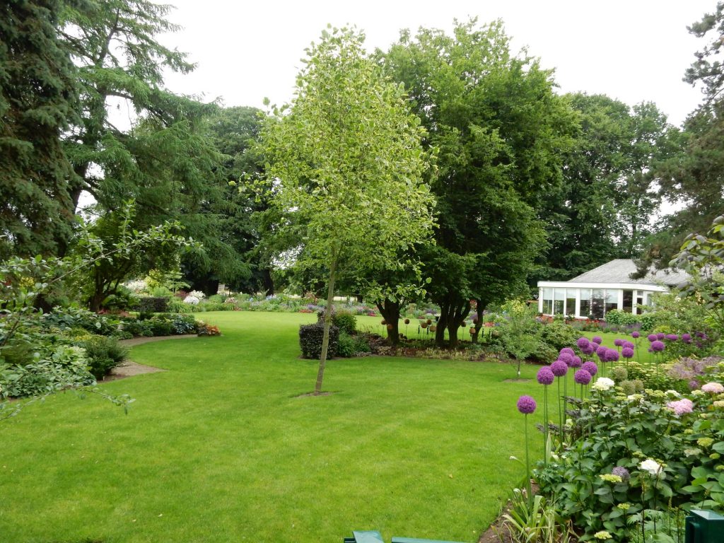 2017-kruit-dscn0514web