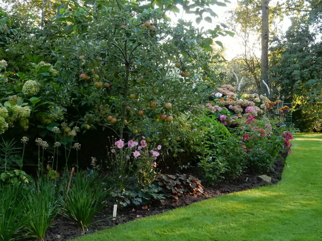 2017-kruit-dscn0596web