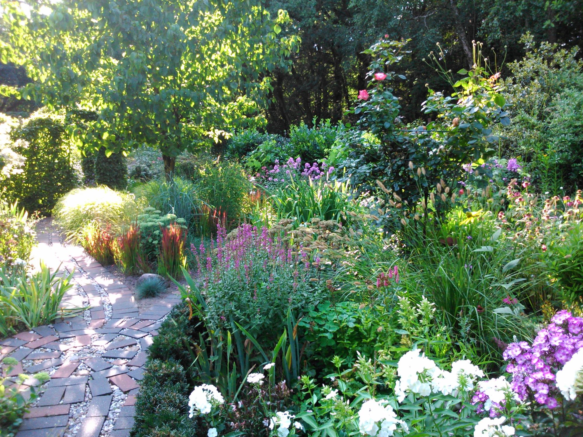 2018 Boll Flyer DSC_0116WEB.jpg